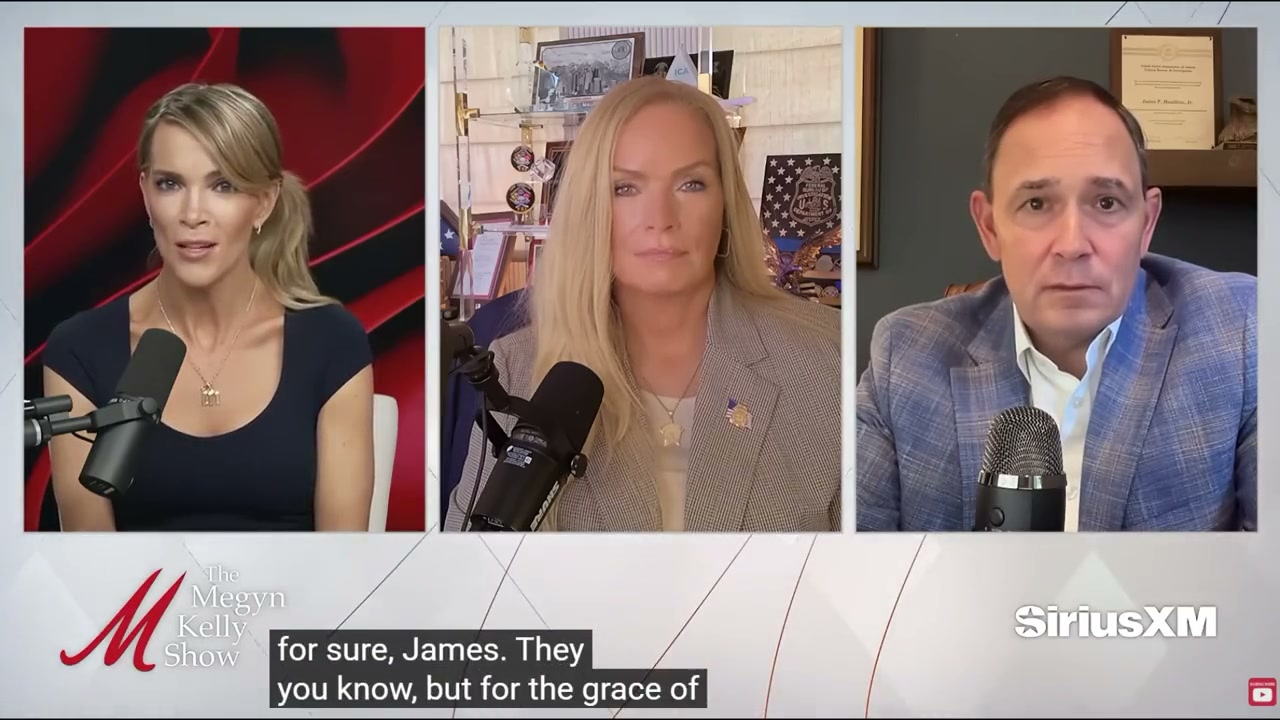 When the Caller Isn't Who They Claim - James Hamilton on The Megyn Kelly Show discussing fraud and call spoofing